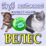 Клуб любителей животных 